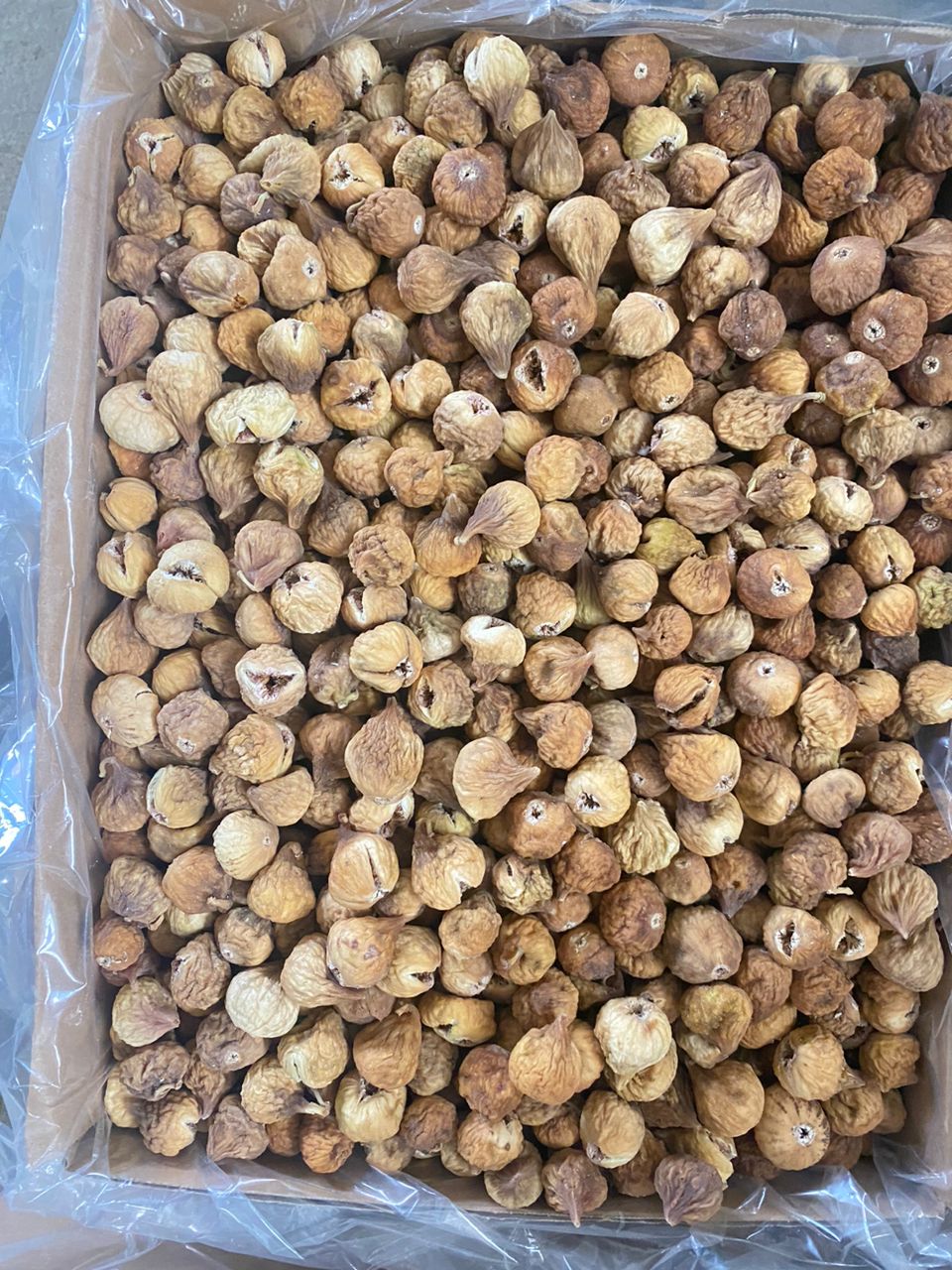 فروش انجیر گنجشک خورده سایز درشت (AAA) + فروش ویژه